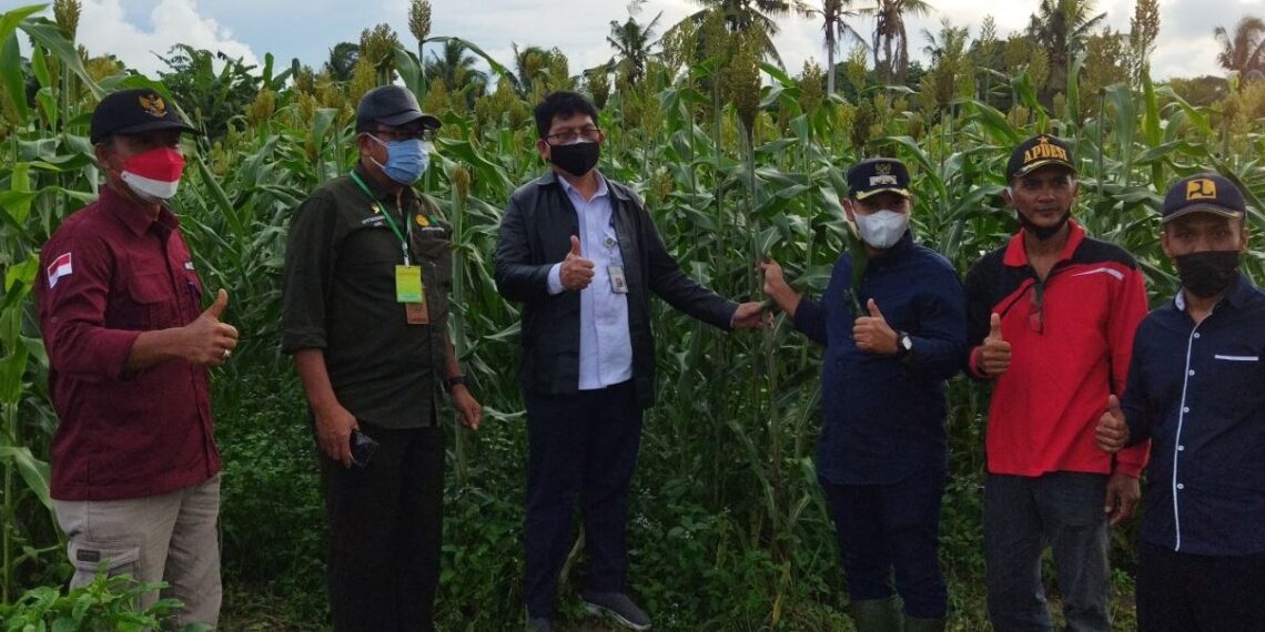 Wabup Lingga Sambut Kunjungan Dirjen Perbenihan Kementan RI Beri Bantuan Benih