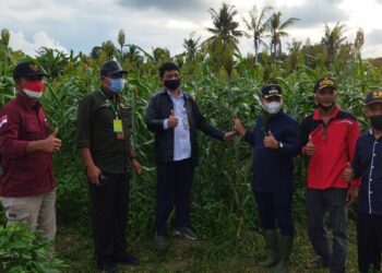 Wabup Lingga Sambut Kunjungan Dirjen Perbenihan Kementan RI Beri Bantuan Benih