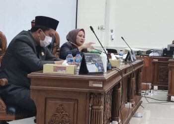 RDP Yang Disampaikan APIP Bergulir Besok DPRD Jadwalkan Panggil Wako Tanjungpinang Hj Rahma.