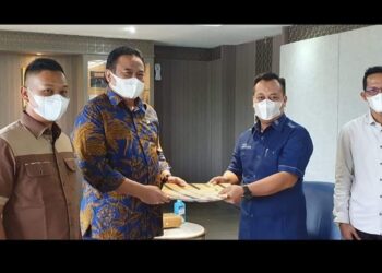 Upaya Jemput APBN 2022, Bupati Lingga Temui Wakil Ketua DPR RI
