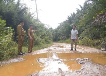 Tahun 2022, Pemprov Anggarkan Rp 9,6 Miliar Untuk Pembangunan Jalan Lingga Timur