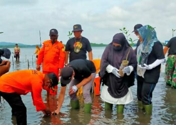 Wabup Natuna Pimpin Penanaman 100 Pohon Mangrove Dalam Rangka Menyambut HUT Basarnas ke-50