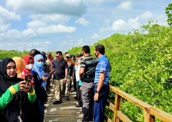 Ayo Ramaikan Wisata Hutan Mangrove di Pian Pering Bandarsyah