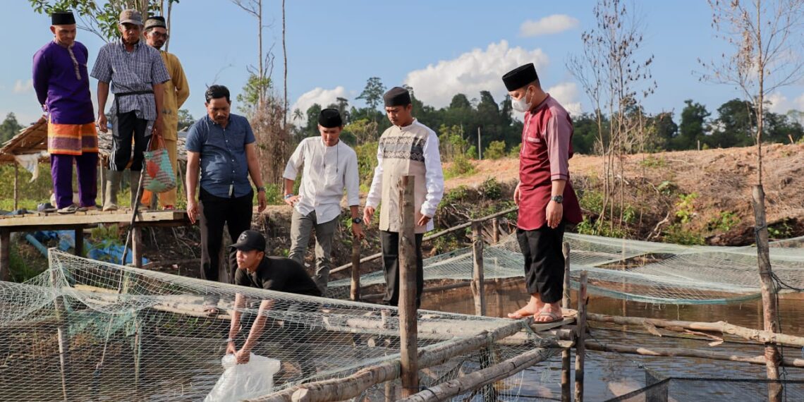 Pemkab Lingga Melalui BBI Didistribusikan 17.000 Benih Nila Hingga April 2022