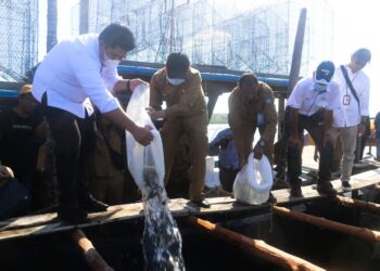 Kunjungi Desa Numbing, Roby Tabur 4000 bibit Kerapu Dikeramba Nelayan & Salurkan bantuan Ke  Masyarakat