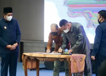 Plt Bupati Bintan Launching Program Desa Bersarjana