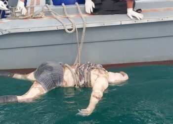 Patkamla Setumu Evakuasi Mayat Mengapung di Perairan Nongsa Batam