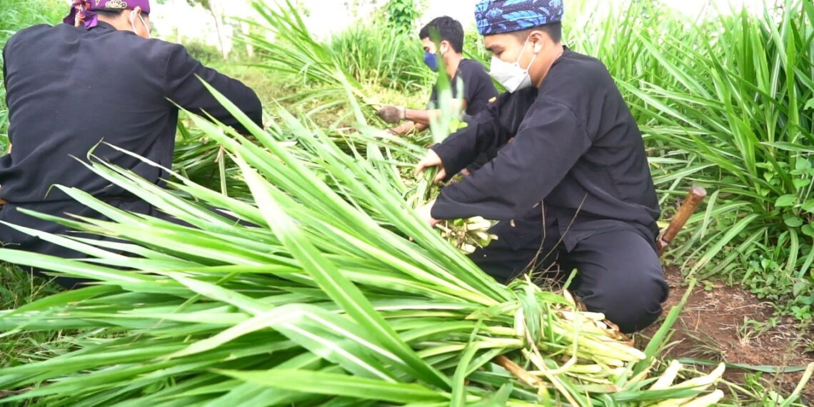 Program Creating Share Value: Bio Farma Bina 80 Peternak Milenial