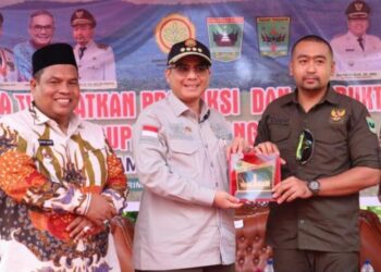 Wujudkan Akselerasi Ketahanan Pangan, Wamentan Ikut Tanam Padi dan Panen Jagung.