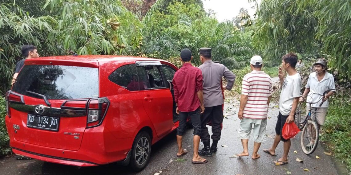 Personil Polsek Sungai Betung Bersama Masyarakat Bersihkan Pohon Tumbang Yang Menutup Jalan Raya