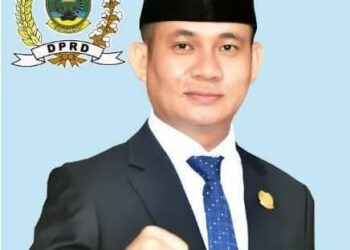 Ketua DPRD Lingga Tanggapi Keluhan Warga Listrik Sering Mati.