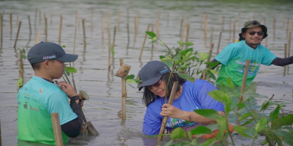 Peringati Hari Lingkungan Hidup dan Laut Sedunia, Biofarma Group Tanam 5.500 Mangrove di Subang