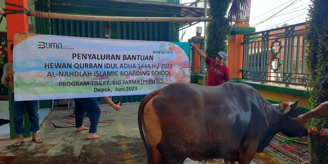 Biofarma Group Salurkan 103 Hewan Kurban ke Berbagai Wilayah di Indonesia