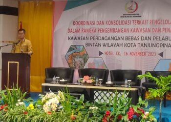 Hadiri Rapat Koordinasi BP KPBPB, Sekda Paparkan Keunggulan Tanjungpinang Cocok Untuk Berinvastasi