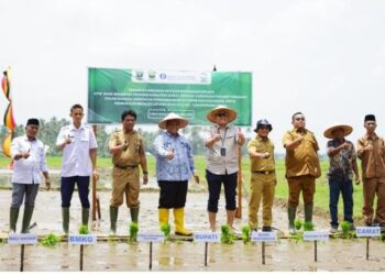 Pemkab Padang Pariaman Gelar Sekolah Lapang Iklim Bagi Kelompok Tani Rawang Lokan