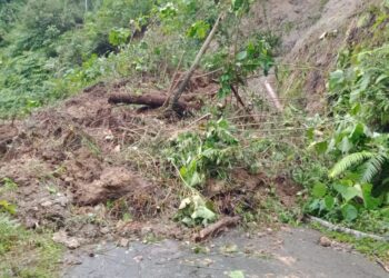 Akibat Hujan Deras Jalan Lereng Gunug Tiga Terputus Karena Lonsor Sepanjang 25 M2