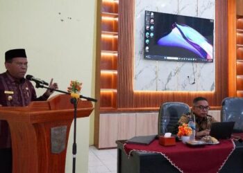 Wabup Rahmang Buka Kegiatan Sosialisasi Pengembangan & Pemeliharaan Layanan Perpustakaan Elektronik