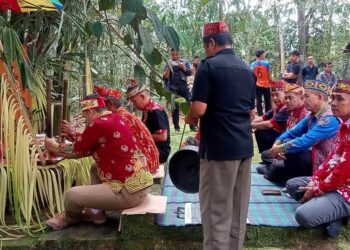 Pegantian Tahun Bupati Bengkayang Gelar Ritual Adat Sebagai Ucapan Rasa Syukur