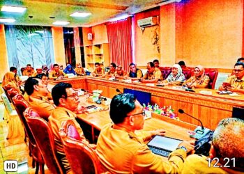 Rapat Bersama BPKP Kepri Bupati Natuna Minta Kepala OPDnya Mempertahankan Kerja Yang Sudah Baik