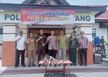 Polres Bengkayang Musnahkan 21 Pucuk Senjata Api Rakitan.