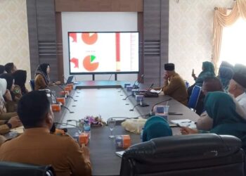 Ketua TP PKK Kabupaten Lingga Maratusholiha Ikuti Rapat Pelaksanaan  PIN.