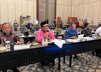 Bupati Presentasikan Rancangan RDTR Kawasan Perkotaan Lubuk Alung di Hadapan Kementrian ATR/BPN