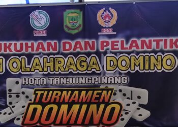 Gebyar Turnamen Domino Pukul 19.30 Wib Malam Ini Dilaksanakan