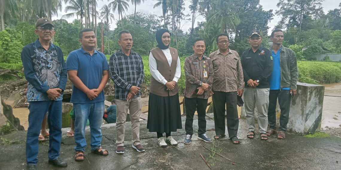 Anggota DPR Ri Cindy Monica Salsabila Setiawan SM Tinjau Bedungan Lubuk Sikoci Yang Runtuh