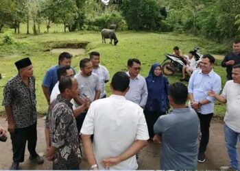 Bupati Akan Selengarakan Iven Pacu Kuda Untuk Kemajuan Wisata Di Padang Pariaman