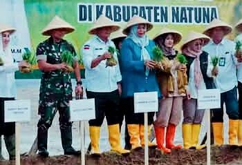 Sekda Natuna Dampingi Gubernur Tanam Padi