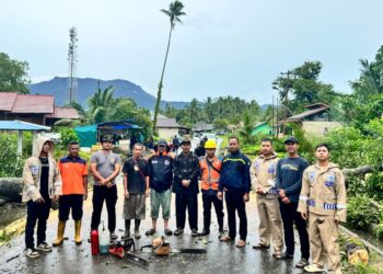 Polsek Daik Sigap Evakuasi Pohon Tumbang Diterjang Angin Kencang di Kecamatan Daik Lingga