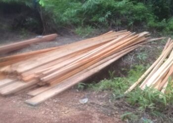 Warga Minta APH: Tangkap Para Mafia Perusak Kawasan Hutan Dijarah Secara Serampangan