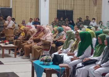 Pemkab Padang Pariaman Fasilitasi Nakes Sukarela Berkonsultasi ke Pemerintah Pusat agar Diangkat PPPK