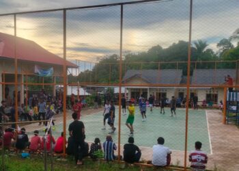 Meriahkan Hari Raya Idul Fitri 1446 H, Pemdes Rantau Panjang Adakan Pertandingan Voli Antar RT