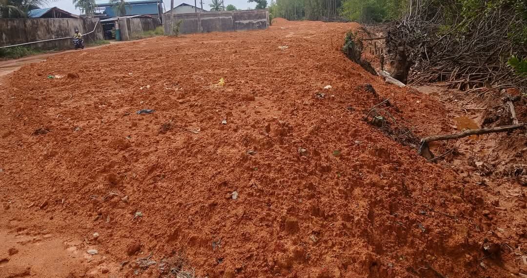 Penimbunan Mangrov Pelaku Bebas Melenggang Tanpa Tersentuh Hukum