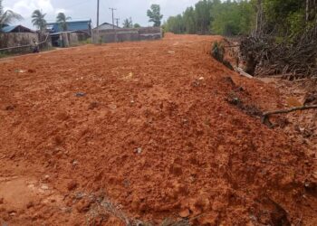 Penimbunan Mangrov Pelaku Bebas Melenggang Tanpa Tersentuh Hukum