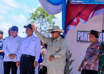 210 Ton Jagung Kalbar Tembus Malaysia, Prabowo: Langkah Besar Bagi Petani Indonesia