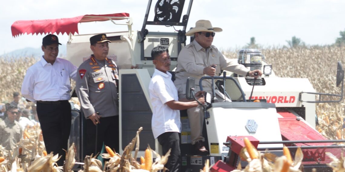 Presiden Prabowo Hadiri Panen Jagung di Kalbar. Upaya Target Swasembada Pangan Tercapai