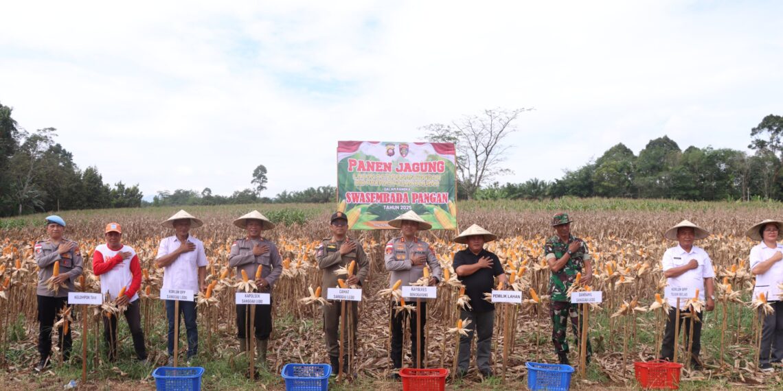 Kapolres Bengkayang Pimpin Panen Jagung, Program Ketahanan Pangan Bidpropam