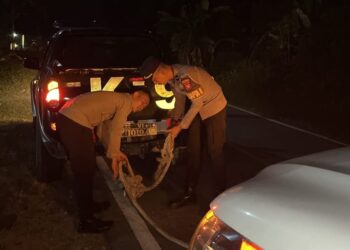 Respons Cepat Laporan 110, Pamapta Polres Bengkayang Evakuasi Korban Tabrak Lari