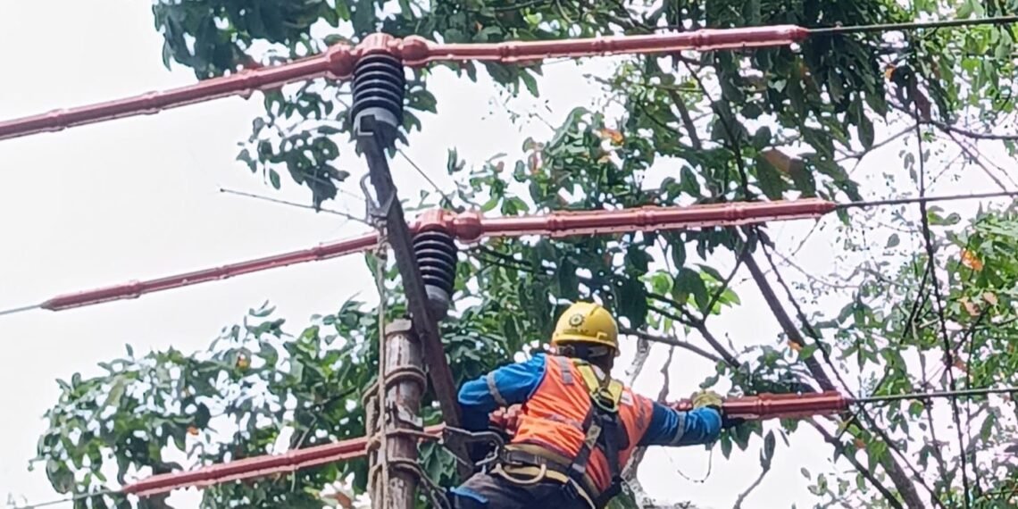 PLN ULP Dabo Pasang Pengaman Jaringan, Cegah Gangguan Akibat Hewan