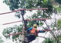 PLN ULP Dabo Pasang Pengaman Jaringan, Cegah Gangguan Akibat Hewan