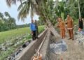 Peninjauan Ungkap Irigasi Sikayan Bersumber dari BWS, Pembangunan Diharapkan Tingkatkan Produktivitas Petani