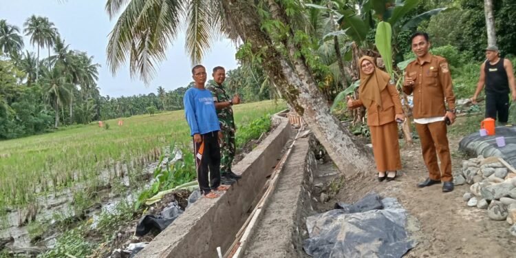Peninjauan Ungkap Irigasi Sikayan Bersumber dari BWS, Pembangunan Diharapkan Tingkatkan Produktivitas Petani