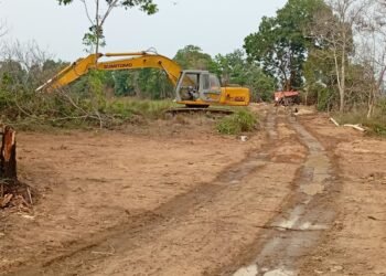 Tambang Pasir Diduga Ilegal di Bintan Terus Beroperasi, “Sopir Sebut Nama Helen dan Elvis”